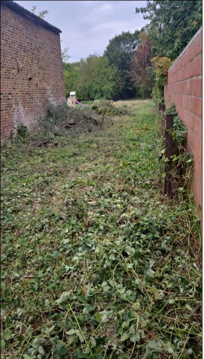 photo 2 du bien 179059