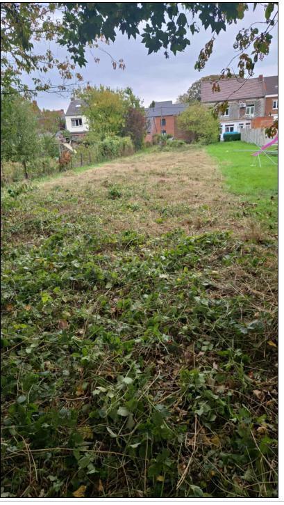 photo 3 du bien 179059